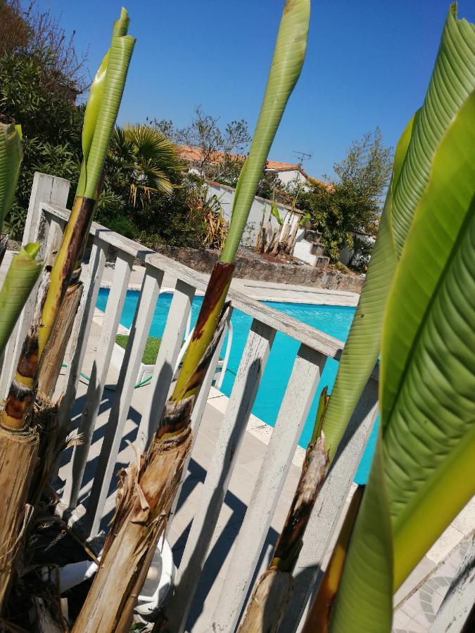 Les Bichettes Acomodação com café da manhã Mortagne-sur-Sevre Exterior foto